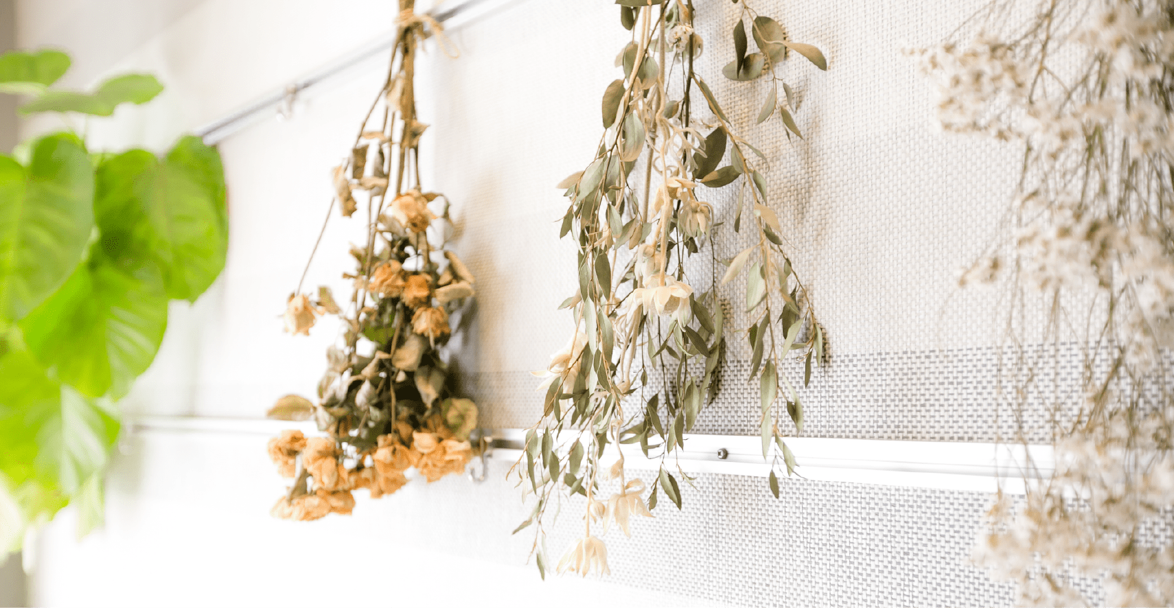 good smile dental life